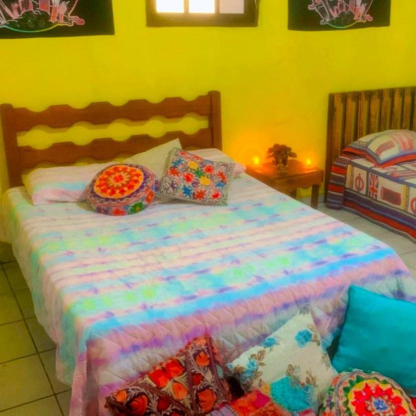 Renovo Beija-Flor Hostel E Espaco Terapeutico 伯迪亚哥 外观 照片