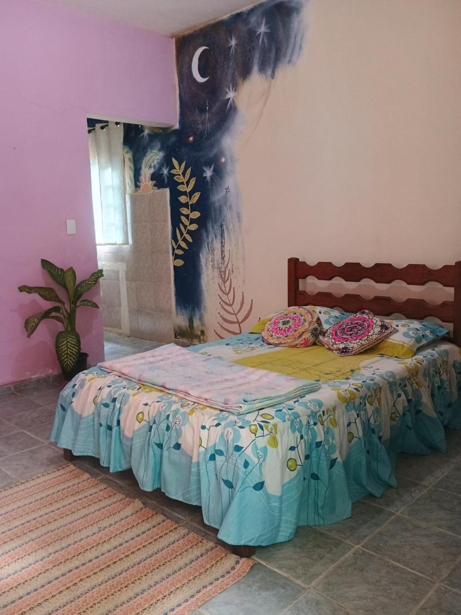 Renovo Beija-Flor Hostel E Espaco Terapeutico 伯迪亚哥 外观 照片