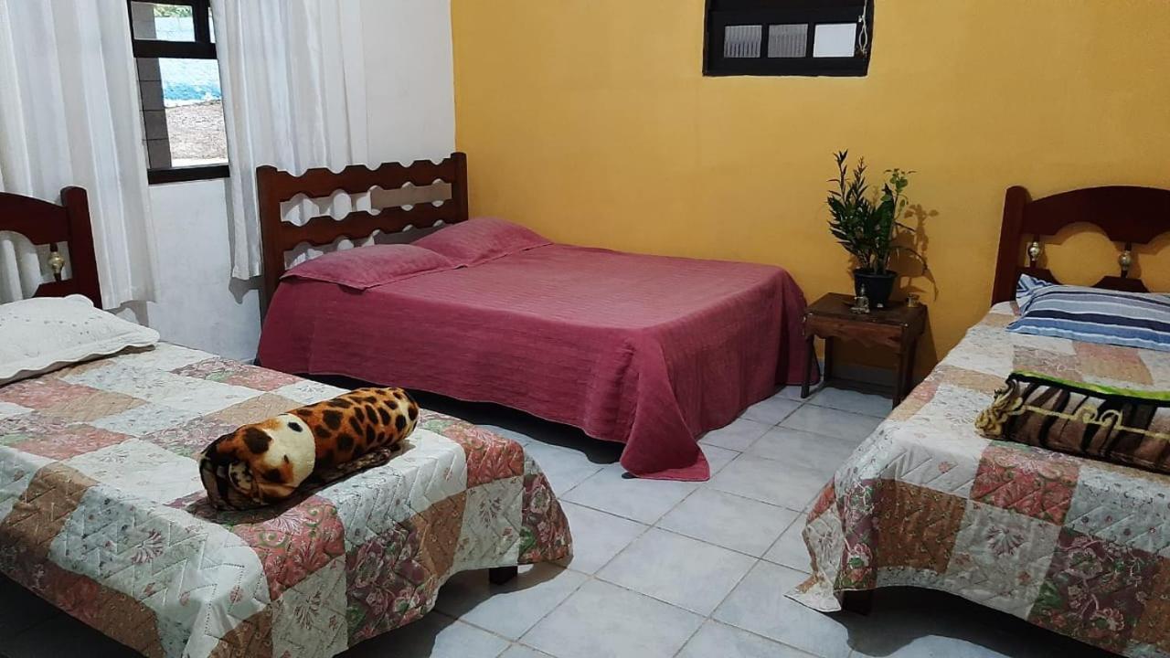 Renovo Beija-Flor Hostel E Espaco Terapeutico 伯迪亚哥 外观 照片